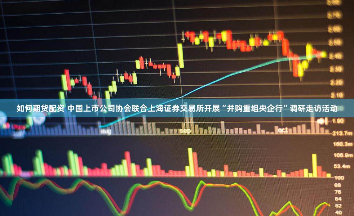 如何期货配资 中国上市公司协会联合上海证券交易所开展“并购重组央企行”调研走访活动