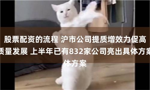股票配资的流程 沪市公司提质增效力促高质量发展 上半年已有832家公司亮出具体方案
