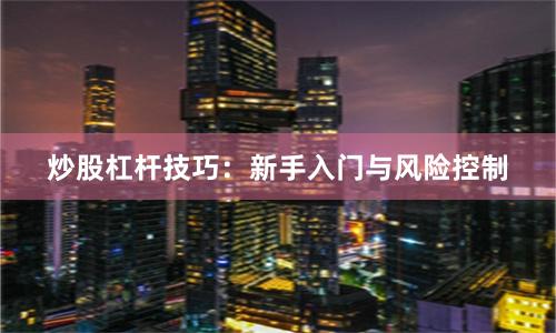 炒股杠杆技巧：新手入门与风险控制