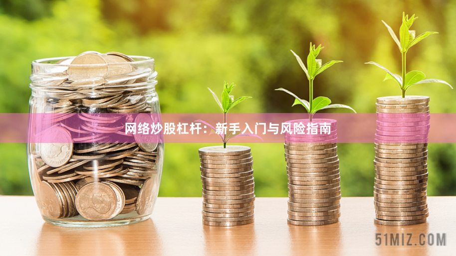 网络炒股杠杆：新手入门与风险指南