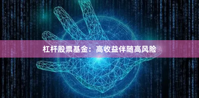 杠杆股票基金:高收益伴随高风险